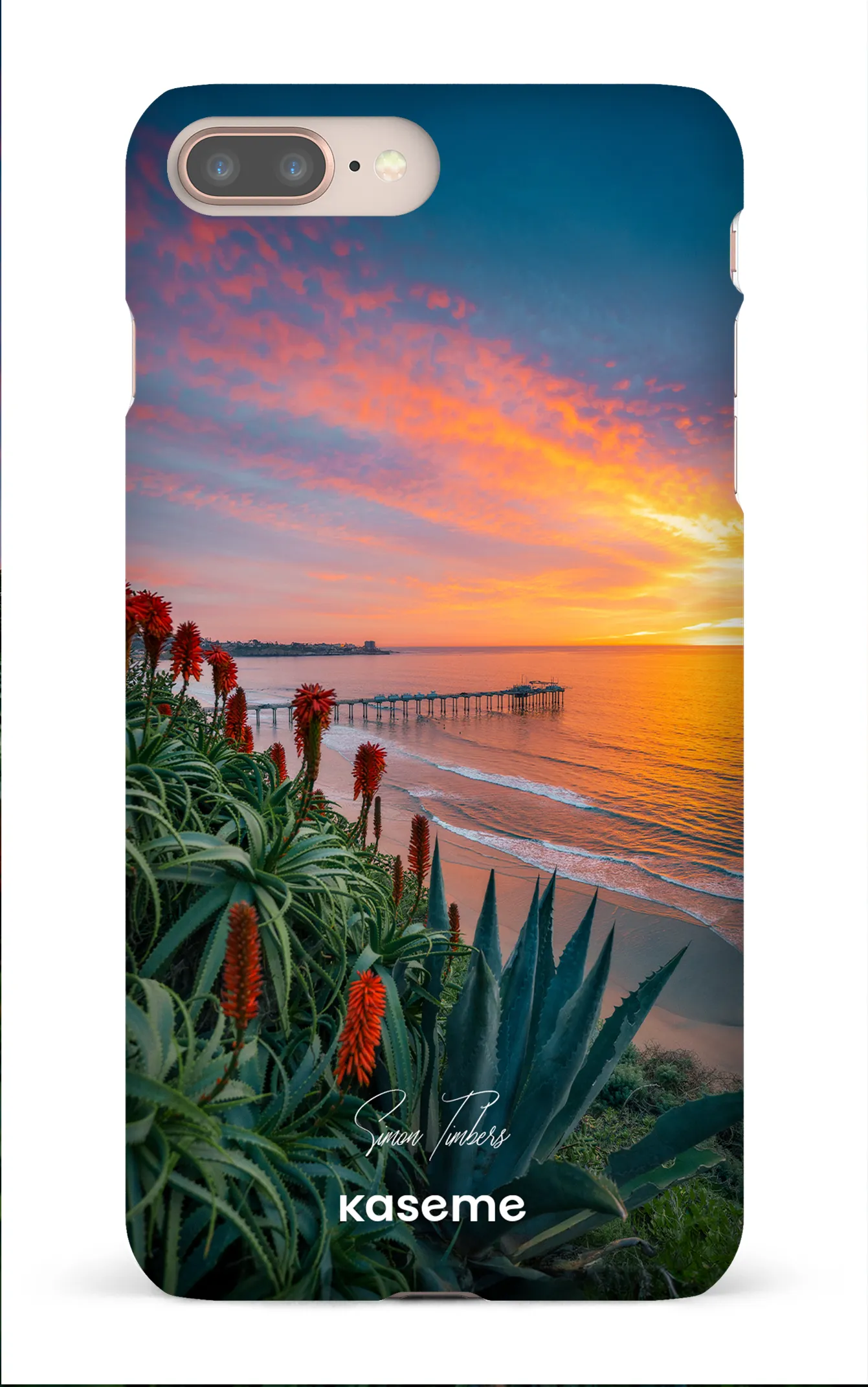 La Jolla in Bloom by Simon Timbers